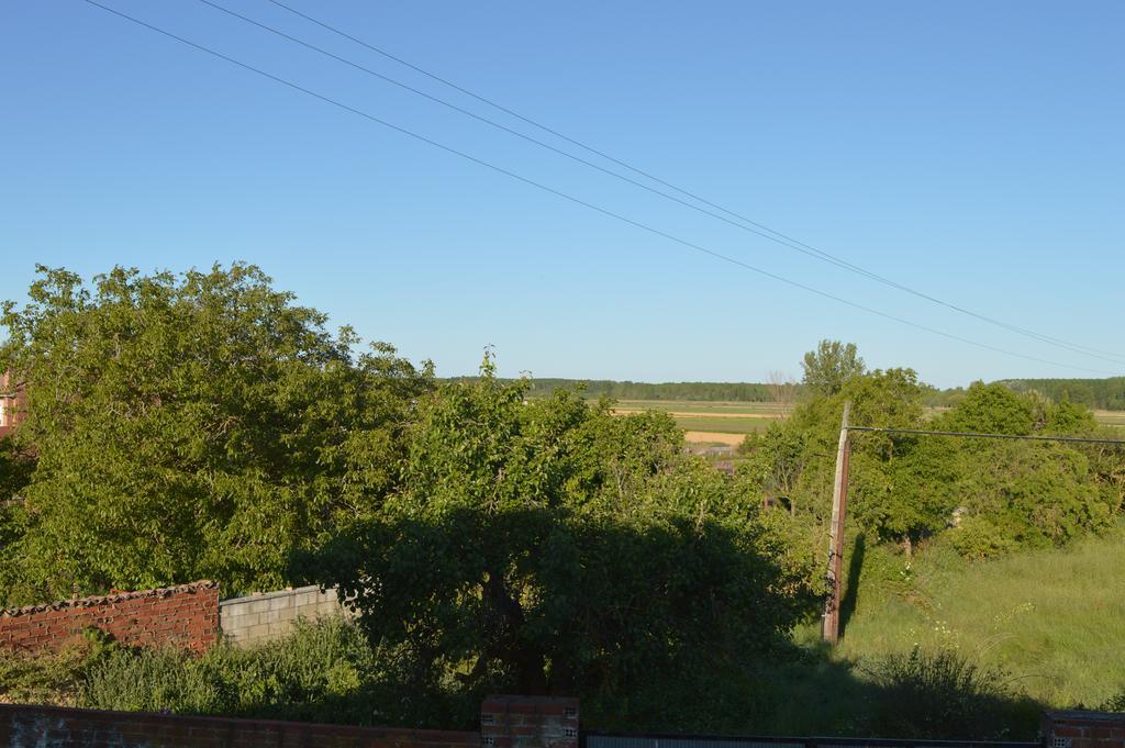 Casa Rural Los Llaganos ξενώνας Villaturiel Εξωτερικό φωτογραφία