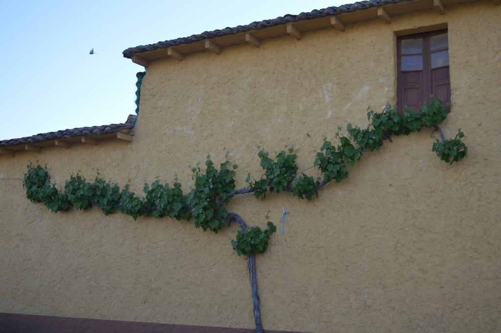 Casa Rural Los Llaganos ξενώνας Villaturiel Εξωτερικό φωτογραφία